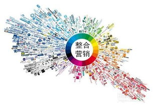 探索互聯(lián)網(wǎng)時(shí)代的主流營銷與銷售模式